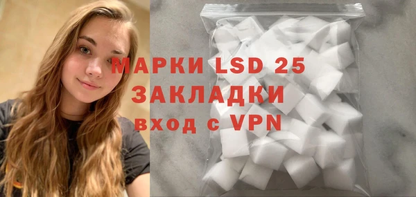 альфа пвп Новодвинск