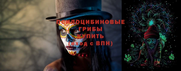 трава Нязепетровск
