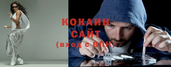 ПСИЛОЦИБИНОВЫЕ ГРИБЫ Новозыбков