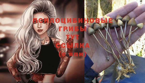 MDMA Premium VHQ Нягань