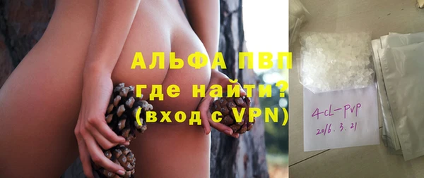 ПСИЛОЦИБИНОВЫЕ ГРИБЫ Новозыбков