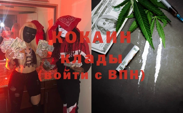 альфа пвп Новодвинск
