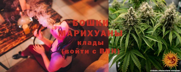ПСИЛОЦИБИНОВЫЕ ГРИБЫ Новозыбков