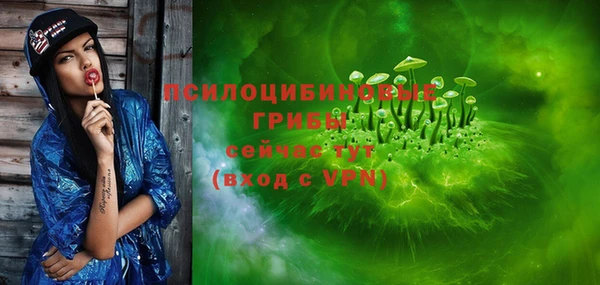 альфа пвп Новодвинск