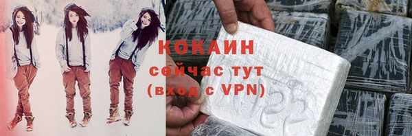 ПСИЛОЦИБИНОВЫЕ ГРИБЫ Новозыбков