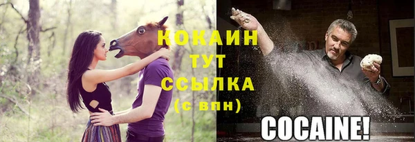 мяу мяу кристалл Няндома