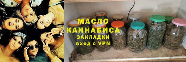 прущая мука Вяземский