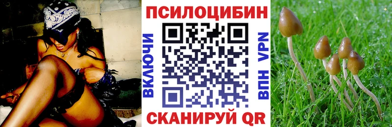 закладки  Рассказово  Псилоцибиновые грибы Magic Shrooms 