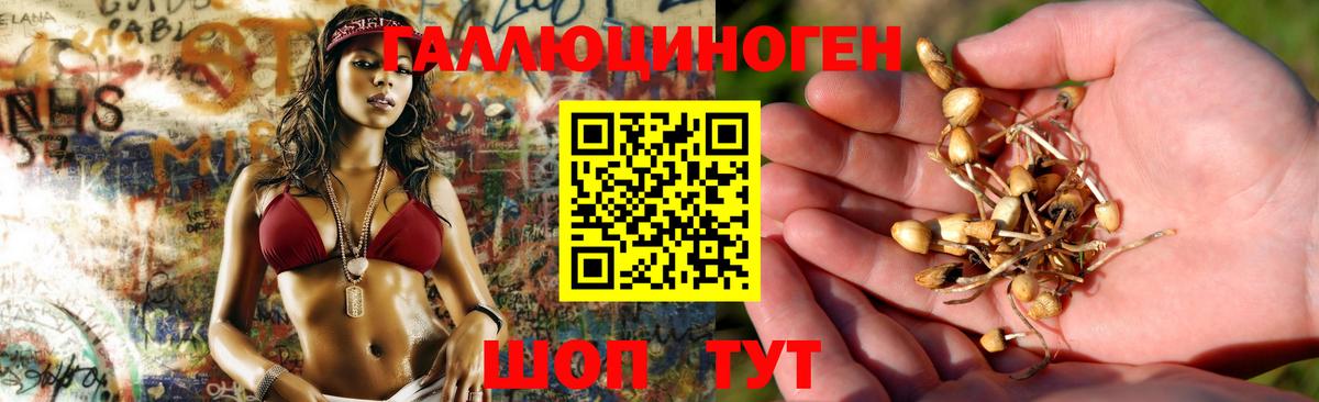 Псилоцибиновые грибы прущие грибы Рассказово