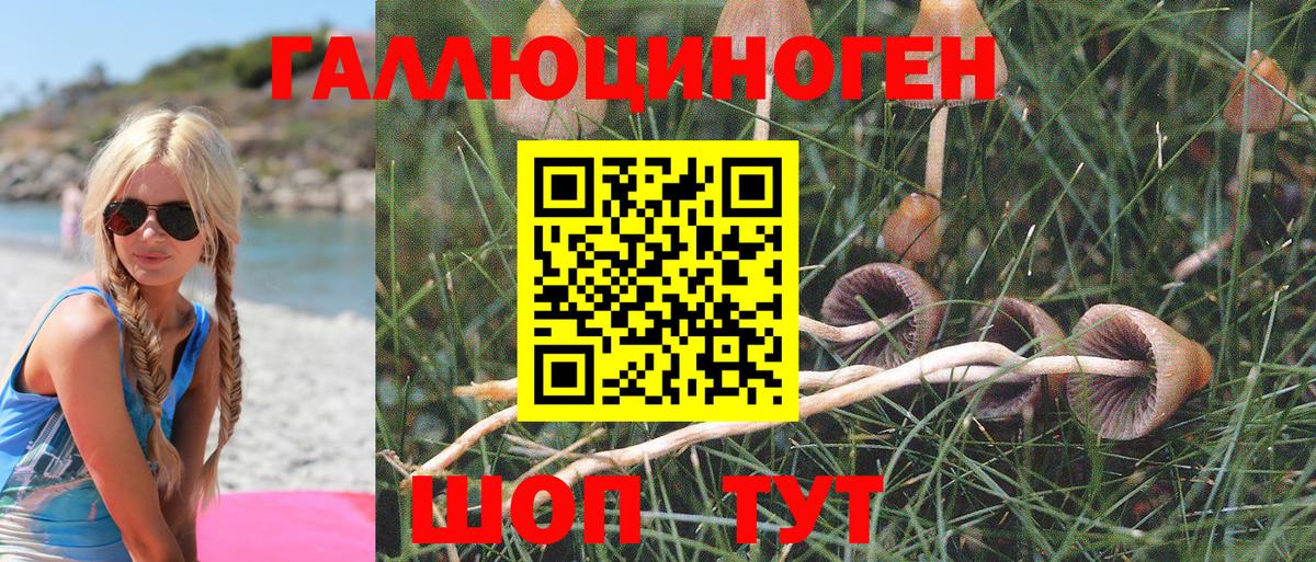 Галлюциногенные грибы Psilocybine cubensis  Вход с VPN  Галлюциногенные грибы мухоморы  Рассказово 